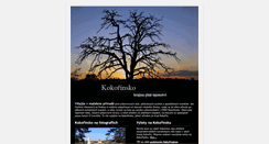 Desktop Screenshot of kokorinsko.net